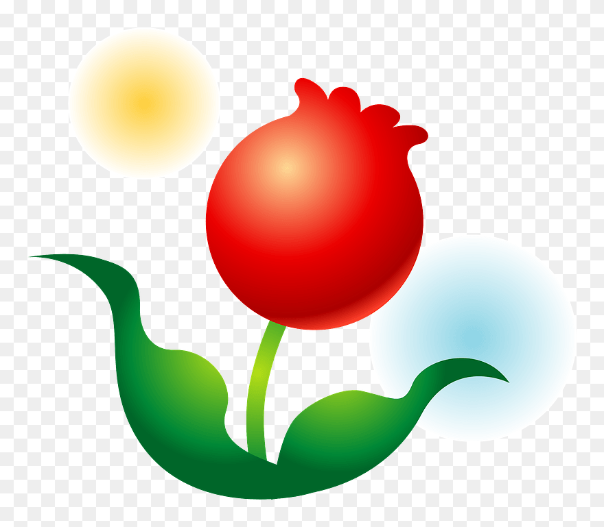 Tulip Flower Clipart - Tulip - Png Download