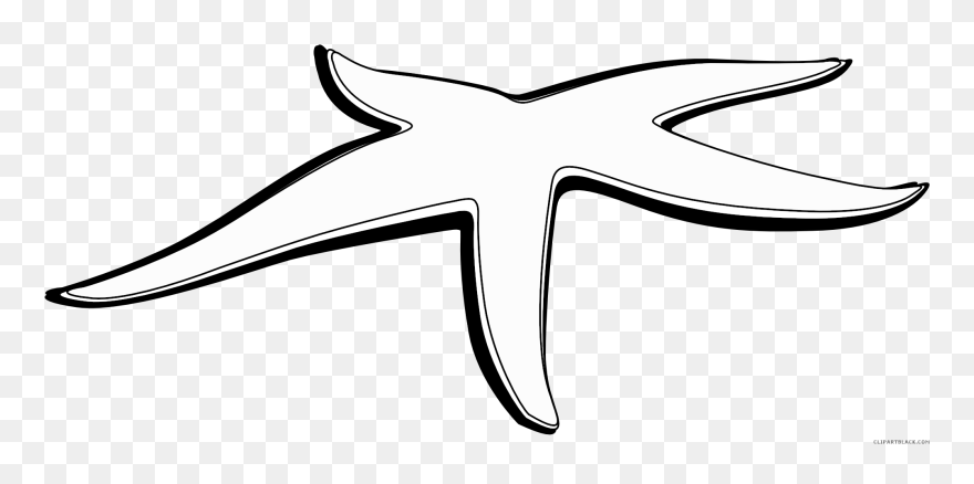 Black And White Sea Shell Clipart - Ocean Cartoon Starfish Black And White - Png Download
