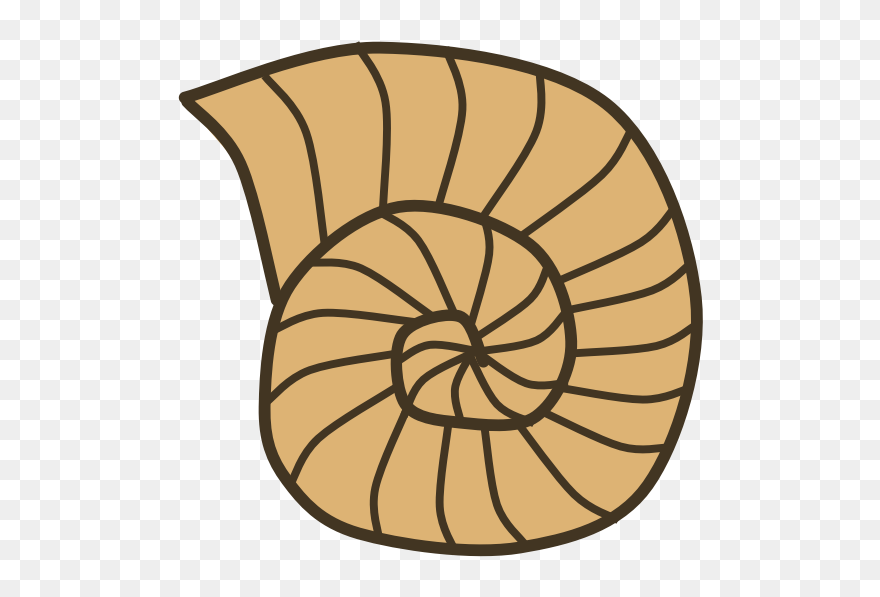 Snail Shell Clipart