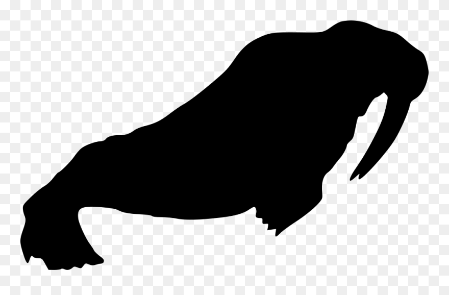 Walrus Clipart Winter, Walrus Winter Transparent Free - Walrus Icon - Png Download
