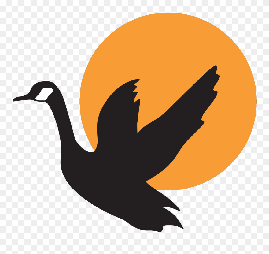 Flying Swan Vector Png Clipart