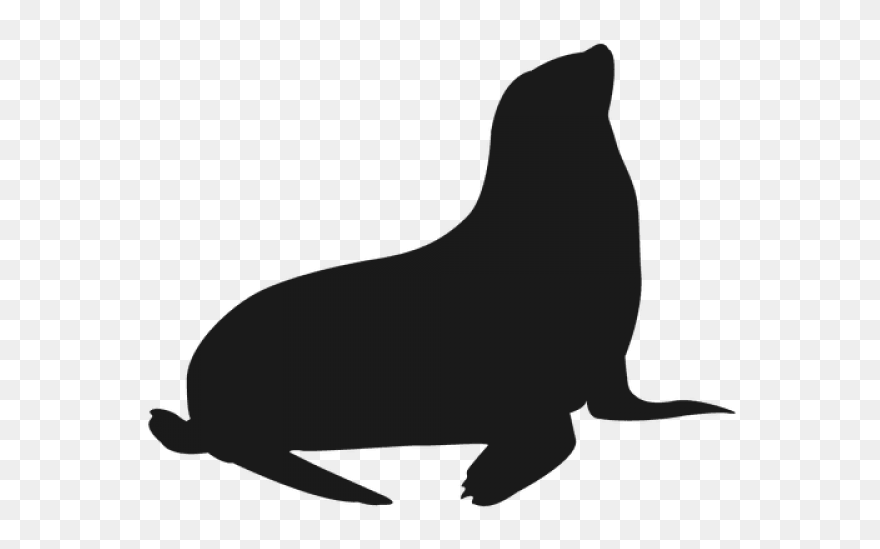 Foca Negra Clipart