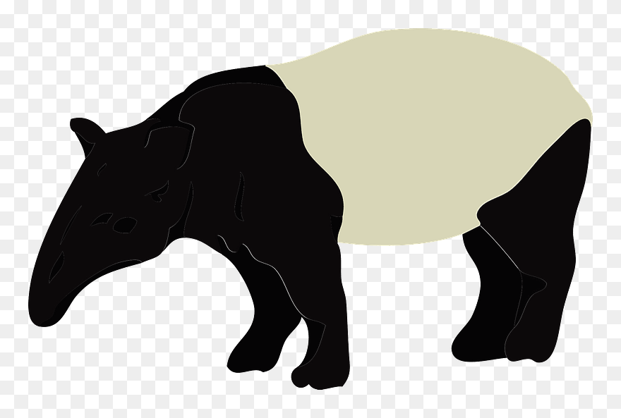 Tapir Animal Clipart - Cat - Png Download