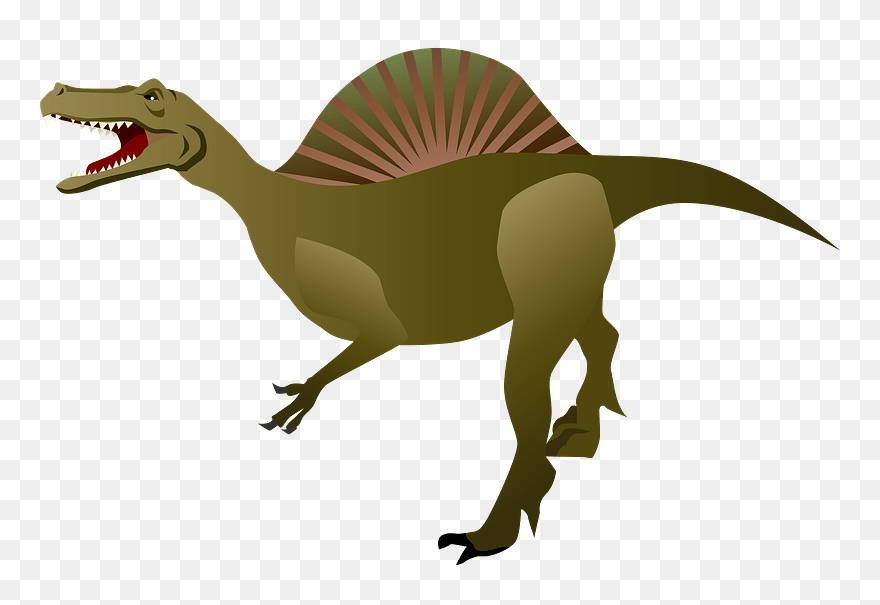 Spinosaurus Dinosaur Clipart - Spinosaurus Clipart - Png Download