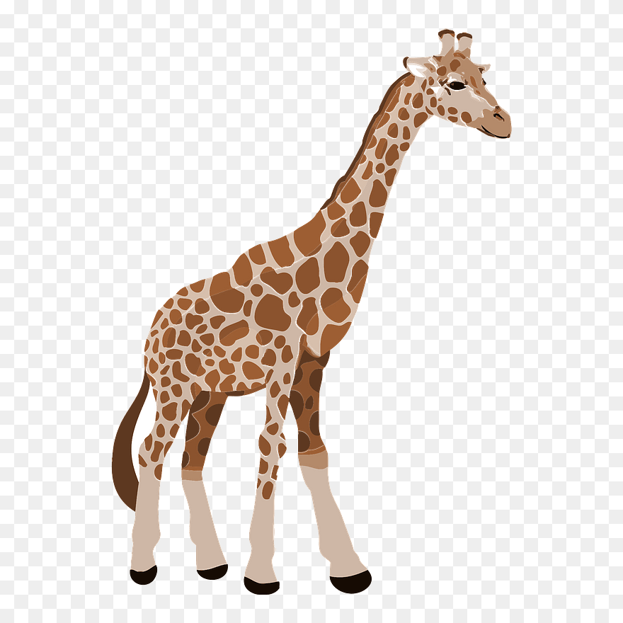 Giraffe Animal Clipart - Png Download