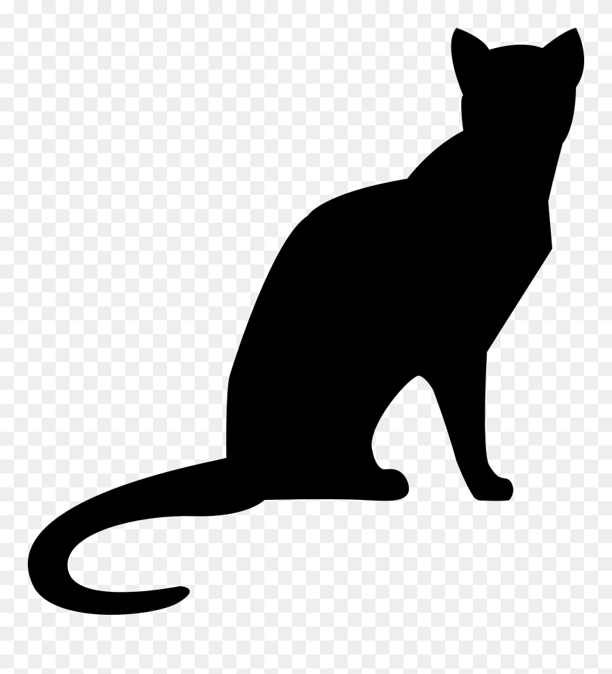 Cat Drawing Kitten Clip Art - Gato Sombra Png Transparent Png