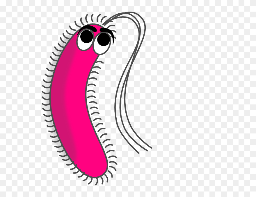 Gram Negative Bacteria Cartoon Clipart
