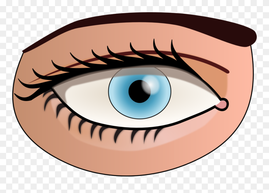 Part Of Body Eye Clipart