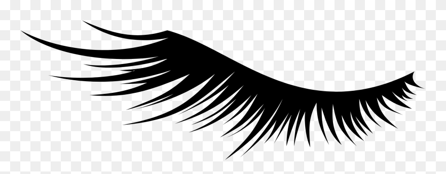 Transparent Background Lashes Png - Eyelash Extensions Clipart
