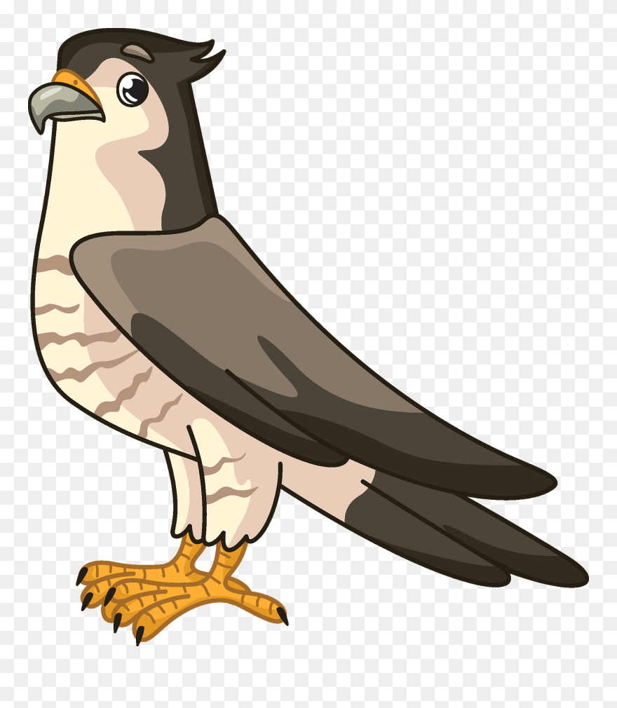 Buzzard Clipart