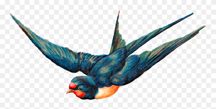 Illustration Clipart