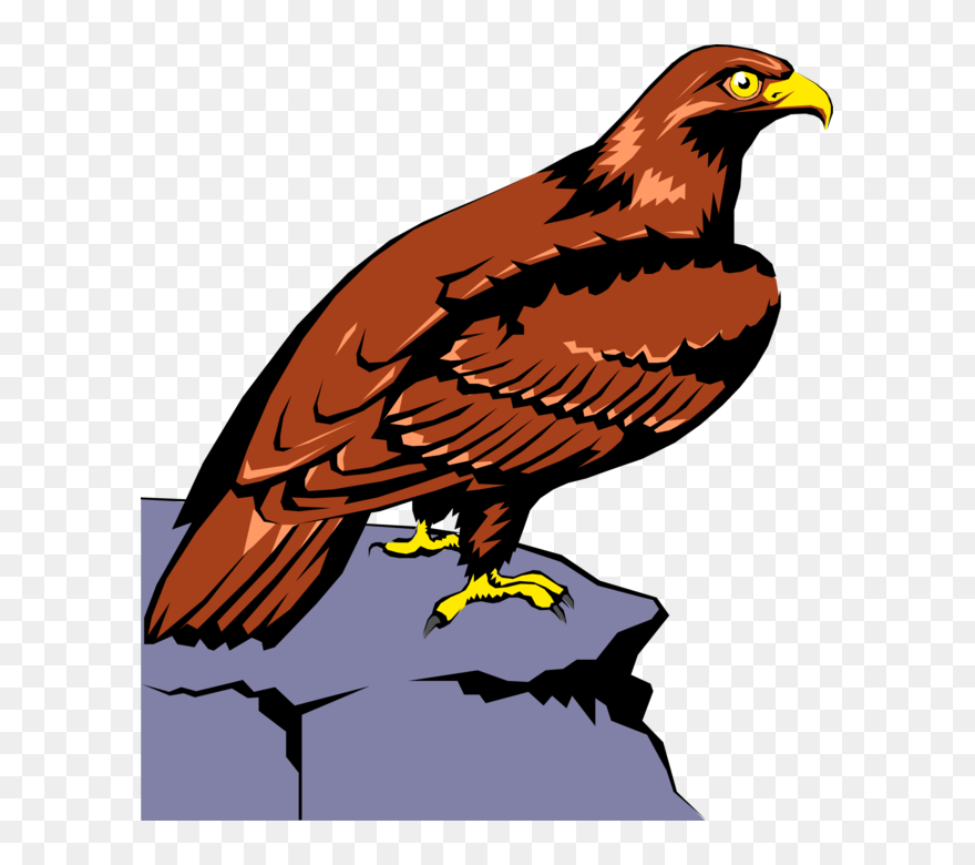 Peregrine Falcon Clipart Realistic Animal - Png Download