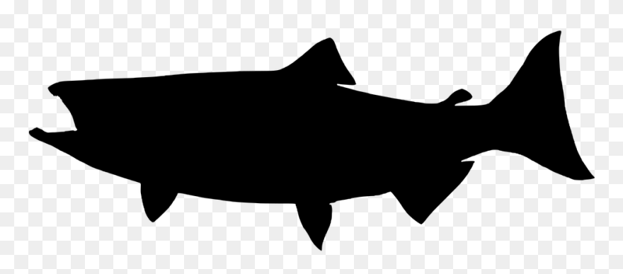 Fish Silhouette - Salmon Silhouette Png Clipart