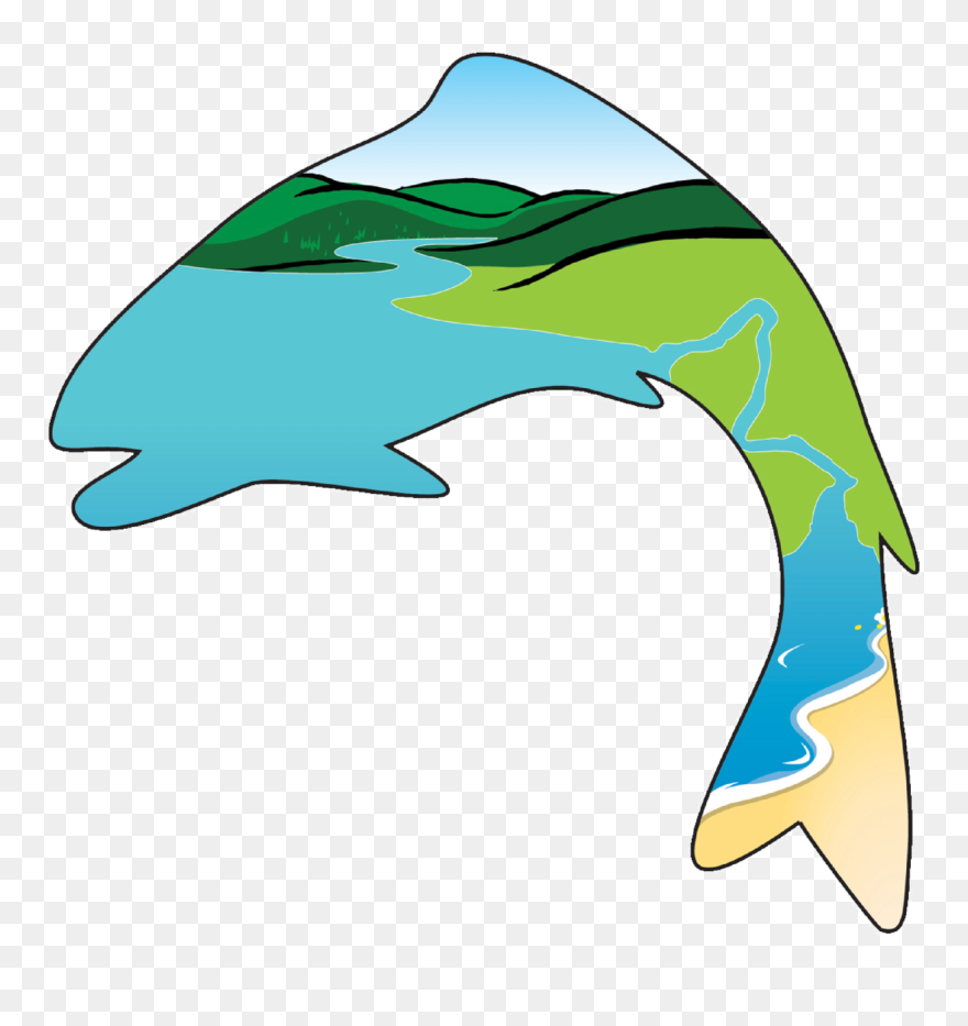 Salmon Clipart Cutthroat Trout - Common Bottlenose Dolphin - Png Download