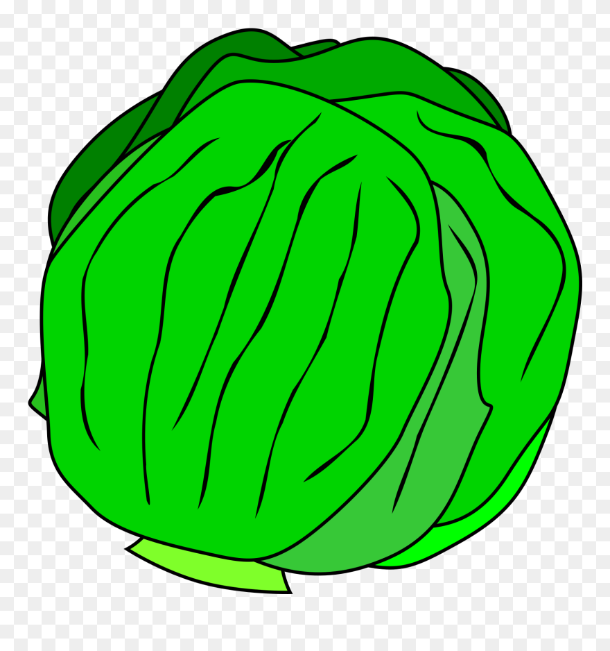 Head, Green, Food, Slice, Outline, Drawing, Leaf - Lettuce Clipart - Png Download