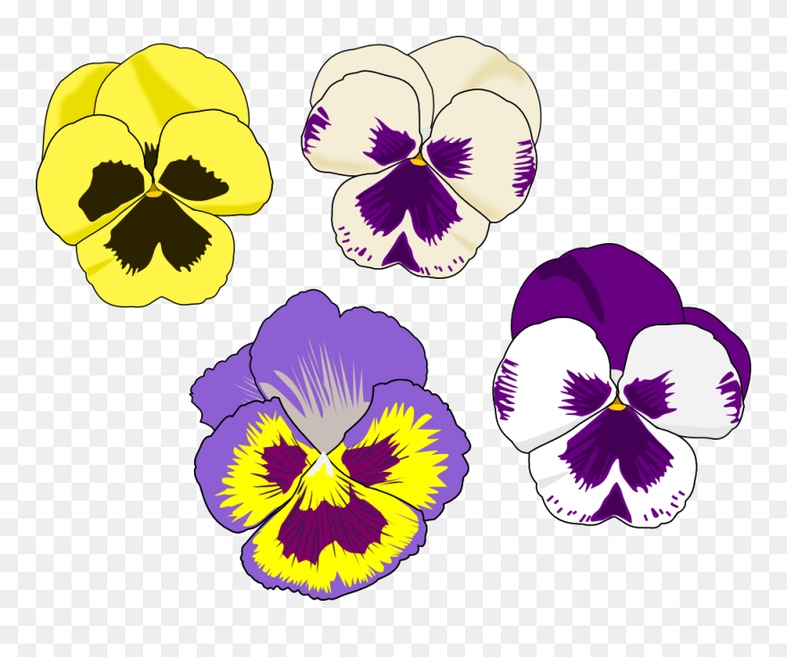 Kat"s Almost Purrfect Home - Pansy Clipart - Png Download
