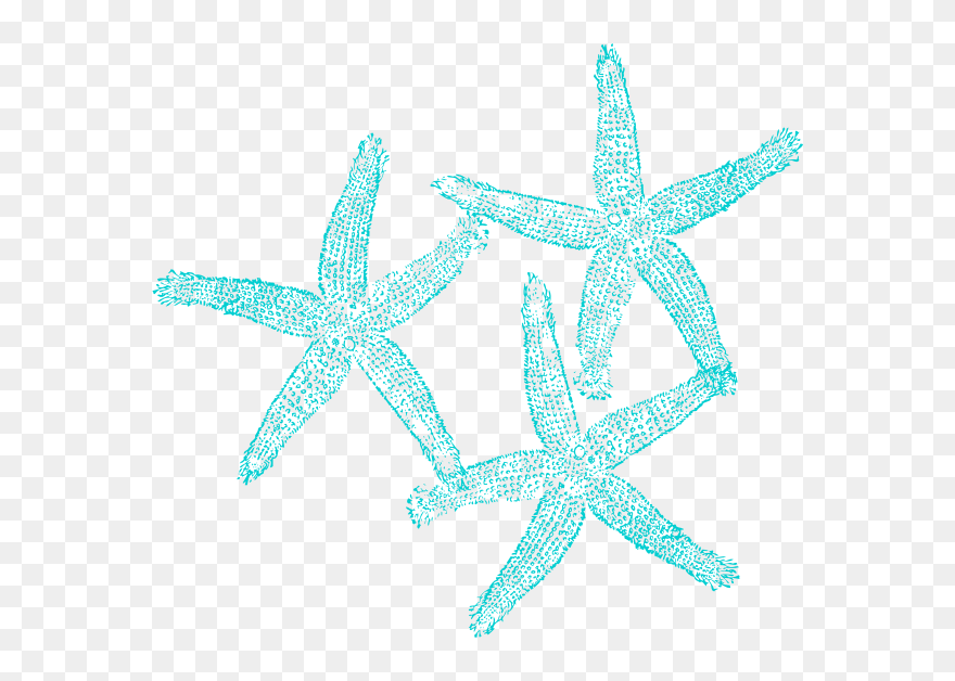 Starfish Clip Art At Clker - Transparent Background Coral Clipart - Png Download