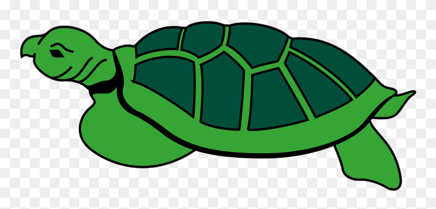 Animal Reptile Tortoise Turtle Tortoise To - Kura Kura Animasi Png Clipart