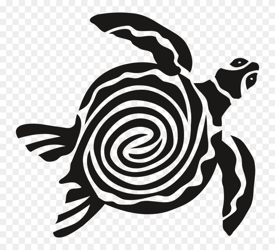 Sea Turtle Art Png - Turtle Graphic Png Clipart