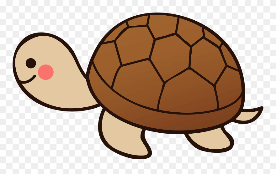Turtle Animal Clipart - Coloring Book - Png Download