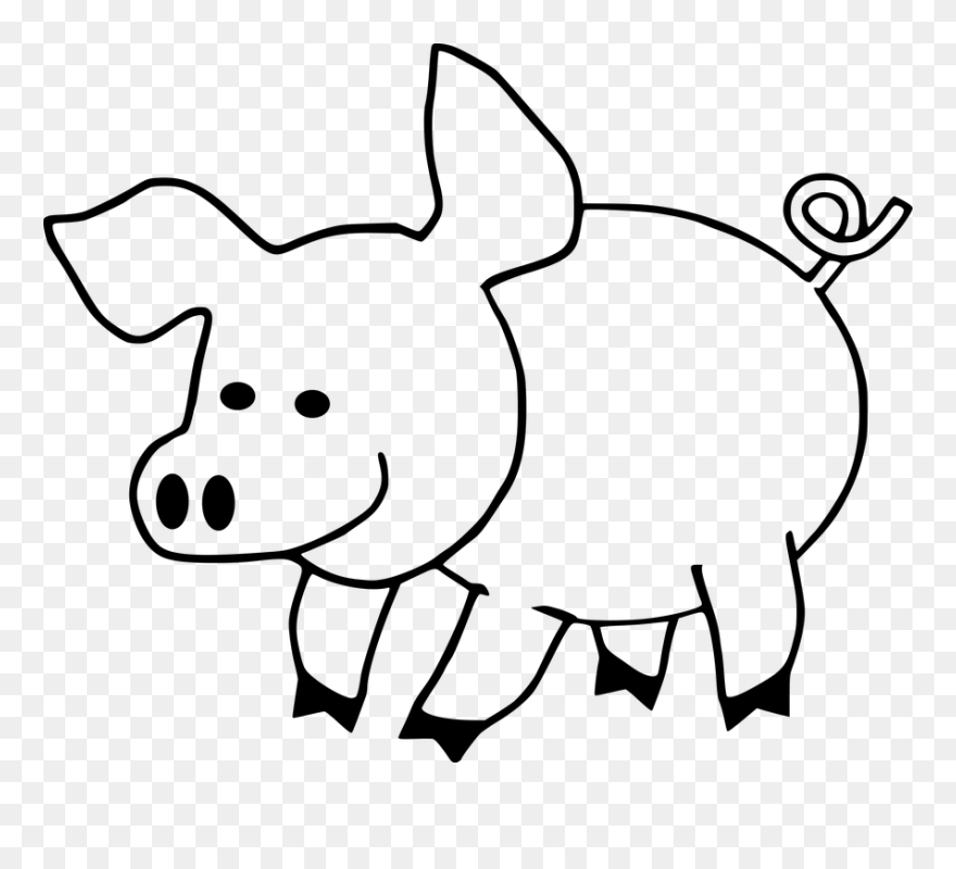 Cartoon, Hog, Pig, Swine - Cute Pig Coloring Pages Clipart