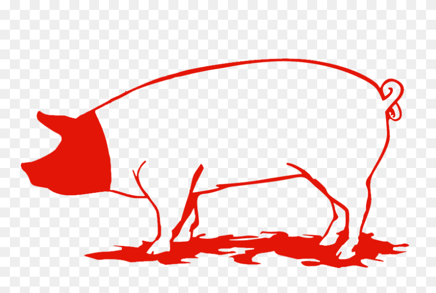 Pork Head Ears - Parts Comestibles Del Porc Clipart