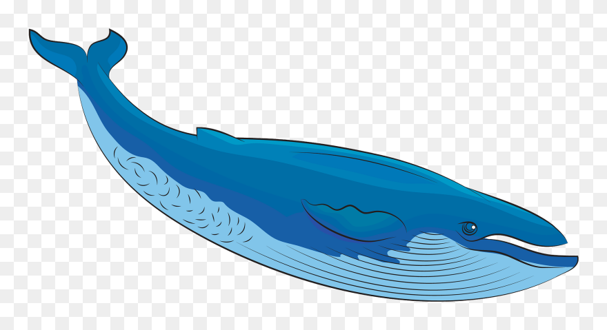 Blue Whale Clipart - Whale Clipart - Png Download