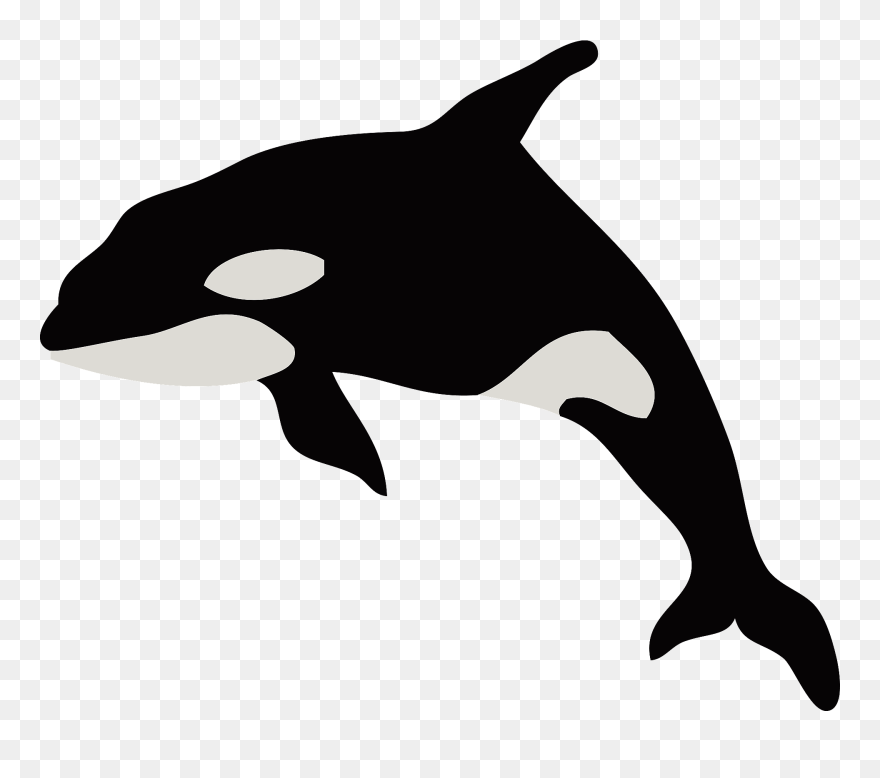 Killer Whale Clipart - Transparent Killer Whale Silhouette - Png Download