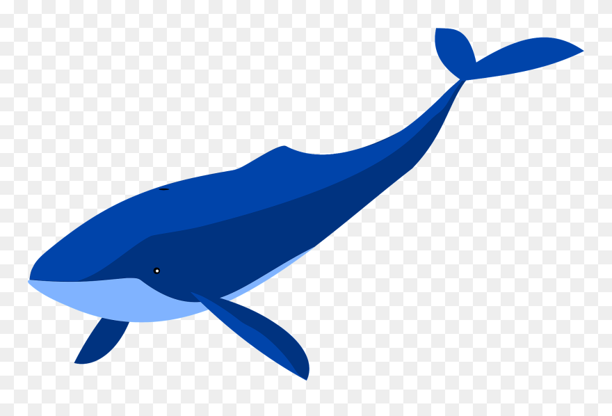 Whale Clipart - Png Download