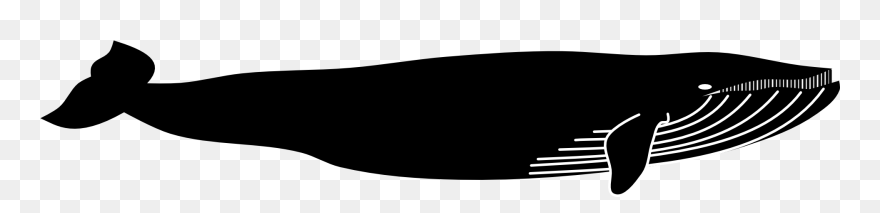 Blue Whale Marine Mammal Animal - Vector Blue Whale Silhouette Clipart