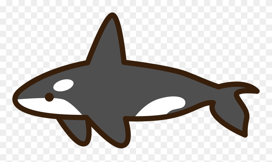 Killer Whale Orca Clipart - Png Download