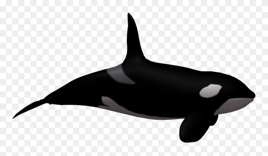 Whale Clipart Killer Whale - Killer Whale Transparent Background - Png Download