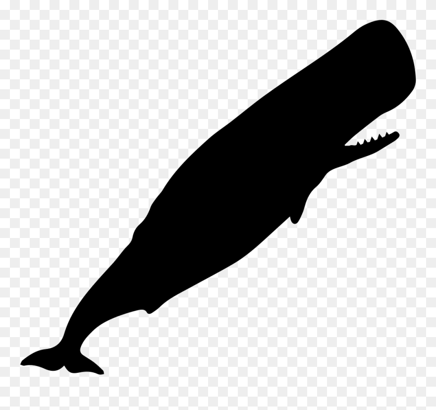 Beluga Whale Clipart Endless Ocean - Sperm Whale Silhouette - Png Download