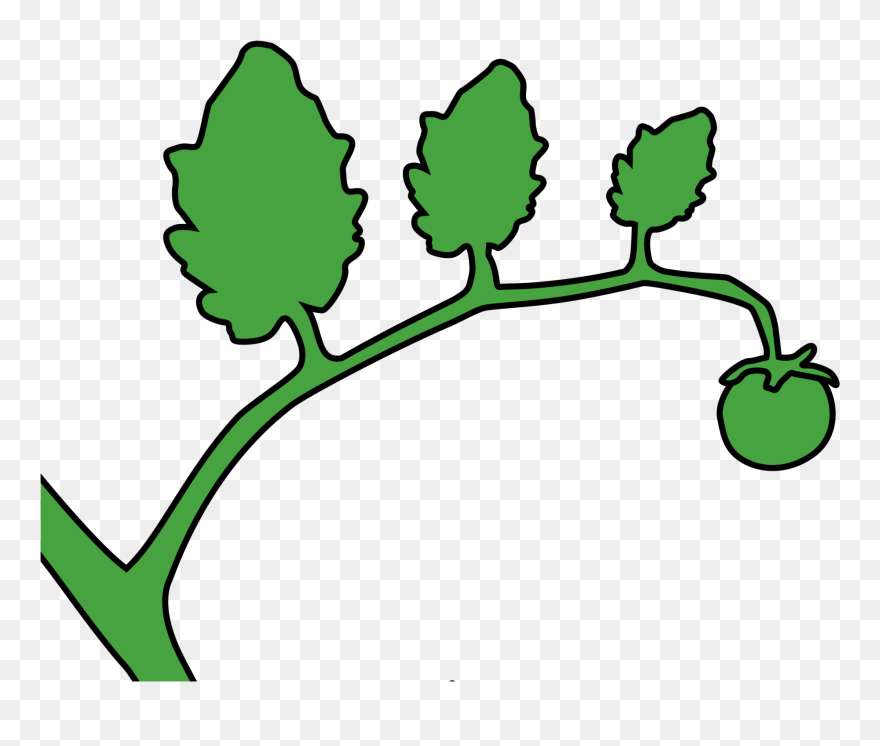 Green Svg Clip Arts - Stem Tomato Clip Art - Png Download