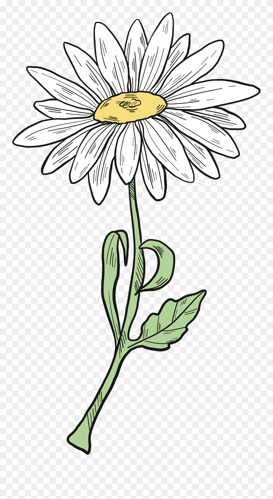 Sunflower Clipart