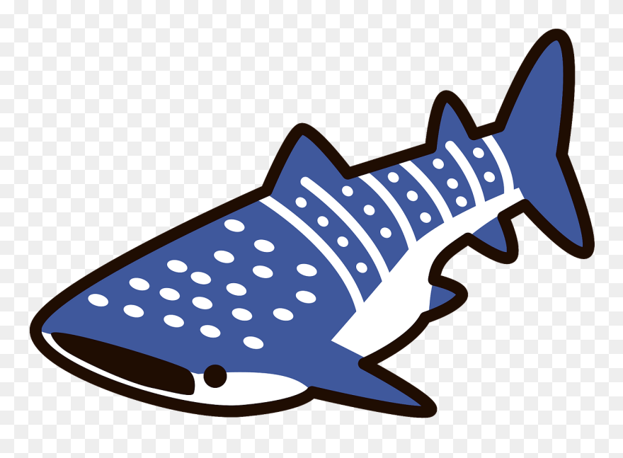 ジンベエザメ イラスト Clipart