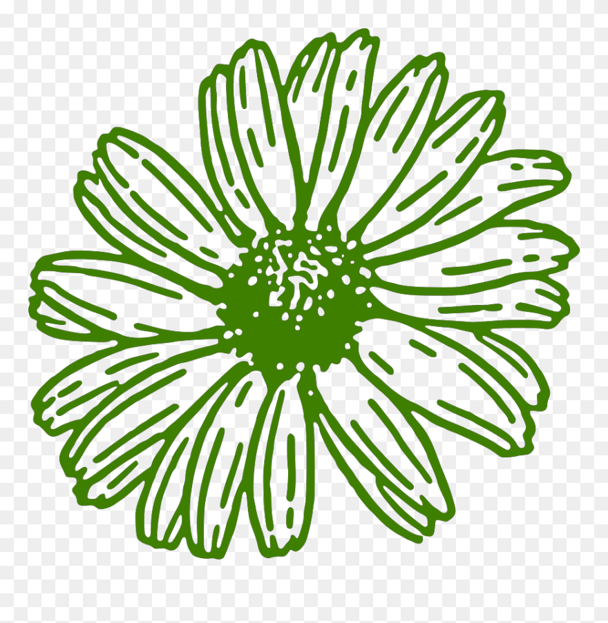 Daisy Clipart Black And White Png Transparent Png