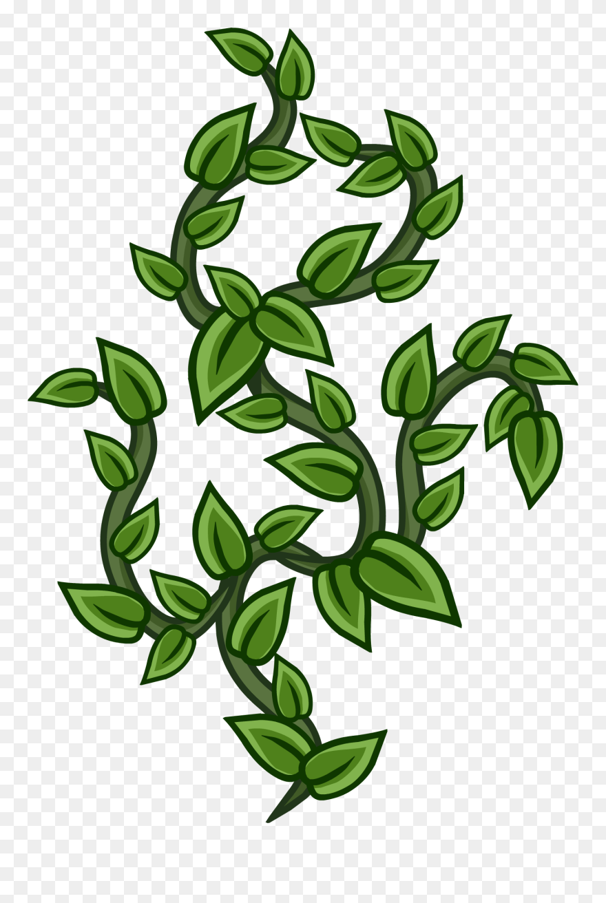 Vines Images - Vines Sprite Clipart