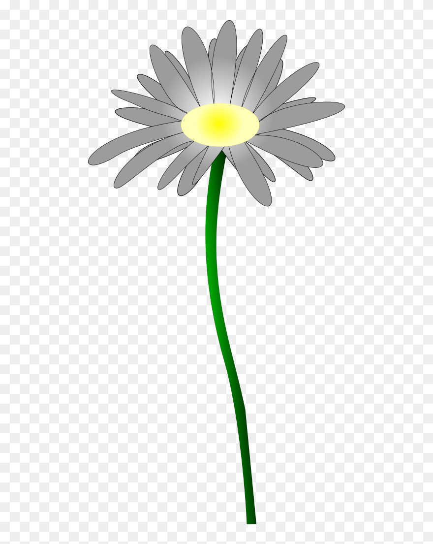 Orange-green Daisy Svg Clip Arts - Daisy - Png Download