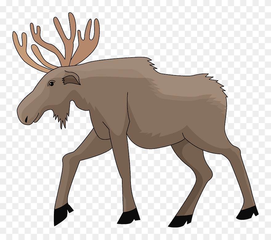 Moose Clipart - Cartoon - Png Download