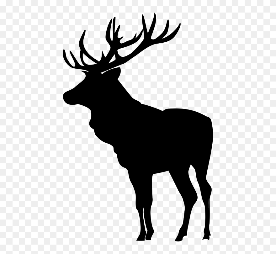 Elk Silhouette Clipart - Png Download