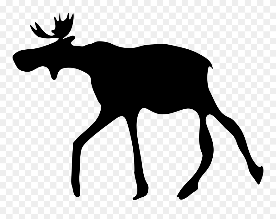 Cow Elk Png - Elk Clip Art Transparent Png
