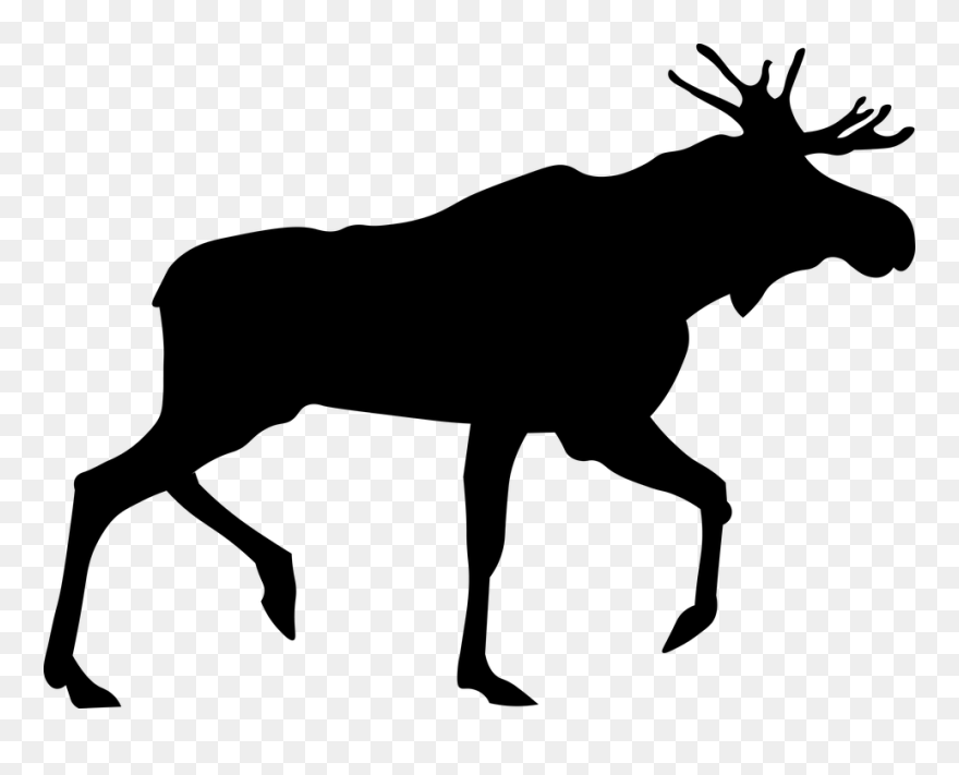 Moose, Elk Png - Moose Silhouette Png Clipart