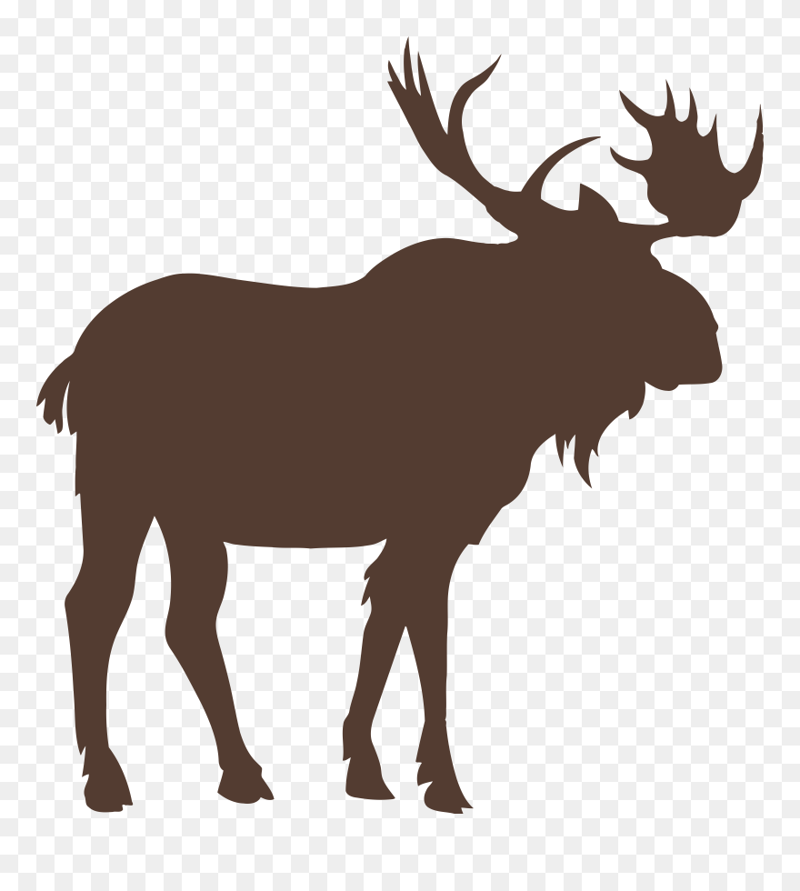Moose Vector Graphics Royalty-free Stock Photography - Moose Silhouette Vector Clipart