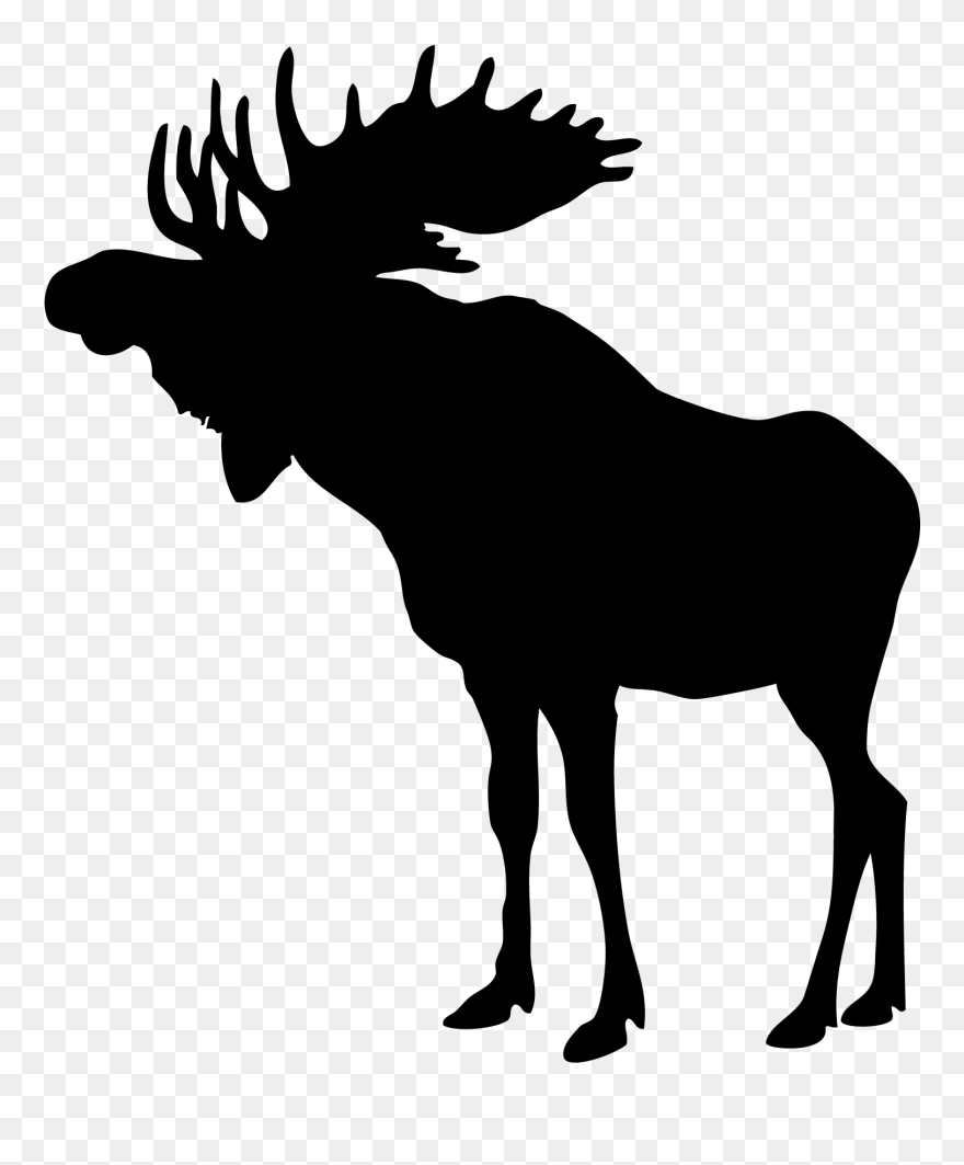 Colorful Moose Clipart