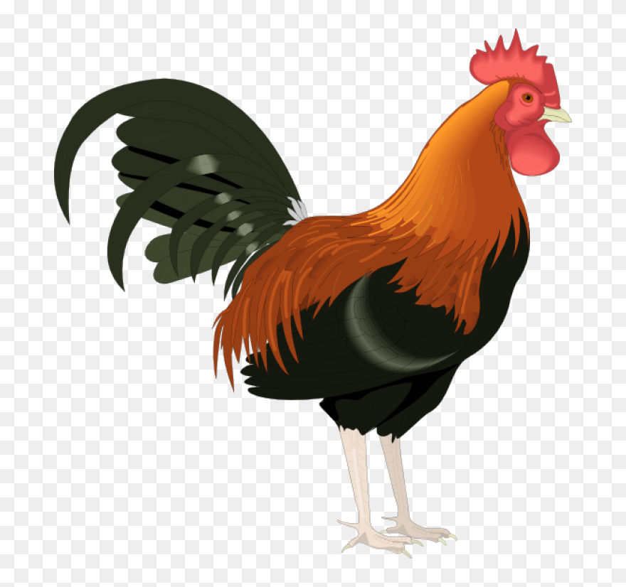 Permalink To Rooster Clipart Free Moose Clipart - Rooster Clipart - Png Download