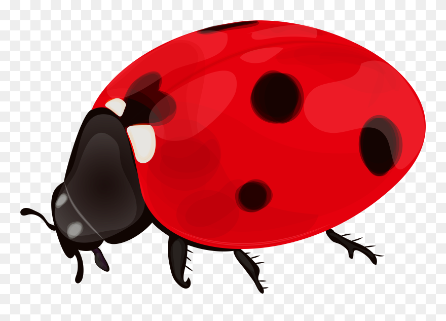 Bug Clipart Transparent Background - Ladybug Transparent Background - Png Download