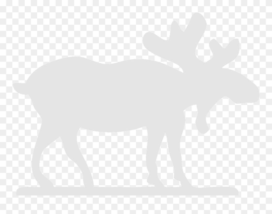 Transparent Moose Clip Art - Moose With Black Background - Png Download