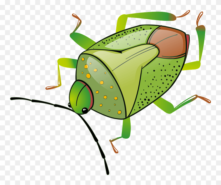 Bug Clipart - Png Download