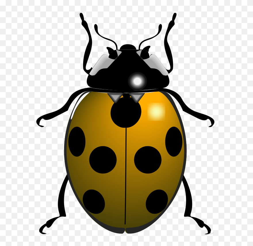 Thumb Image - Transparent Bug Clipart - Png Download